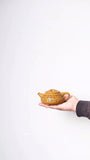 Shi piao Teapot