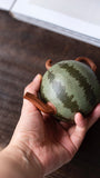 Watermelon teapot